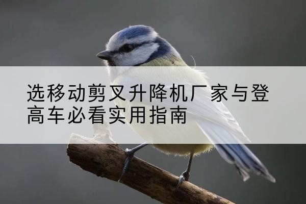 江油电动升降机厂家-选移动剪叉升降机厂家与登高车必看实用指南