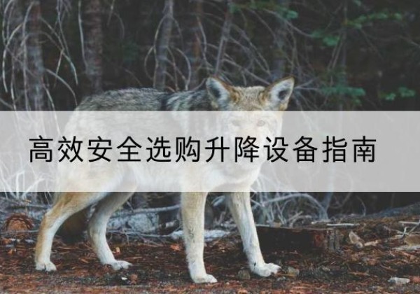 江油升降货梯厂家推荐-*安全选购升降设备指南